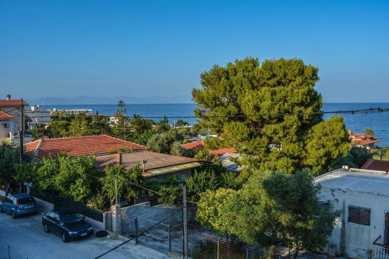 Sofia'S Seaview Villa Near Airport And Beach Artemida  Zewnętrze zdjęcie